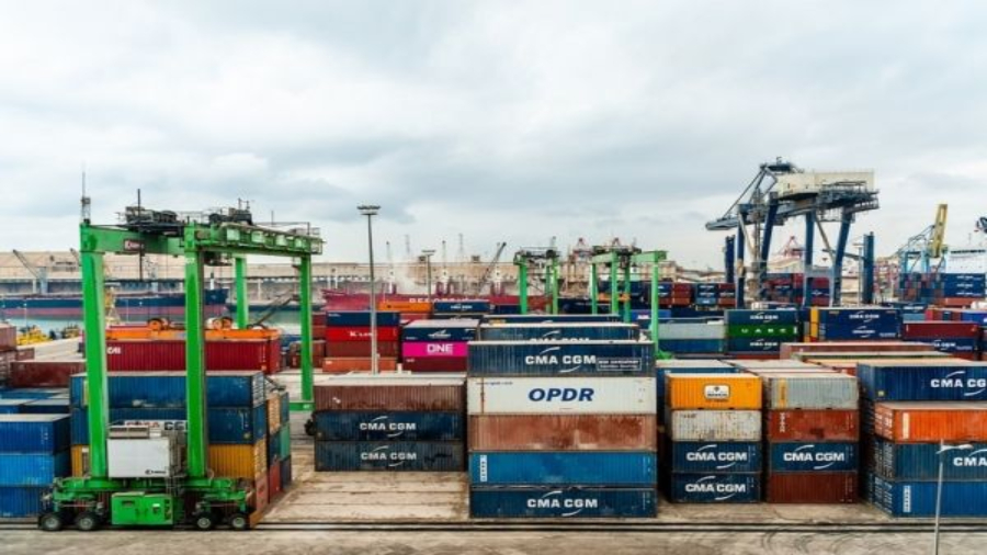 Venezuela exporta a Chile más de 160 toneladas de algas marinas Venezuela exporta a Chile más de 160 toneladas de algas marinas