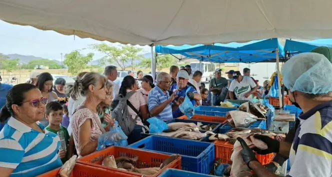Distribuidas más de dos toneladas de pescado en Guacara Distribuidas más de dos toneladas de pescado en Guacara