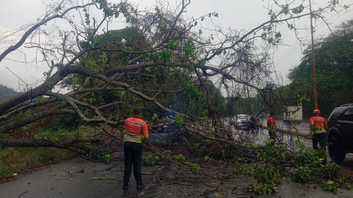 WhatsApp Image 2026-04-14 at 11.01.14 AM Lluvias Juan José Mora Morón