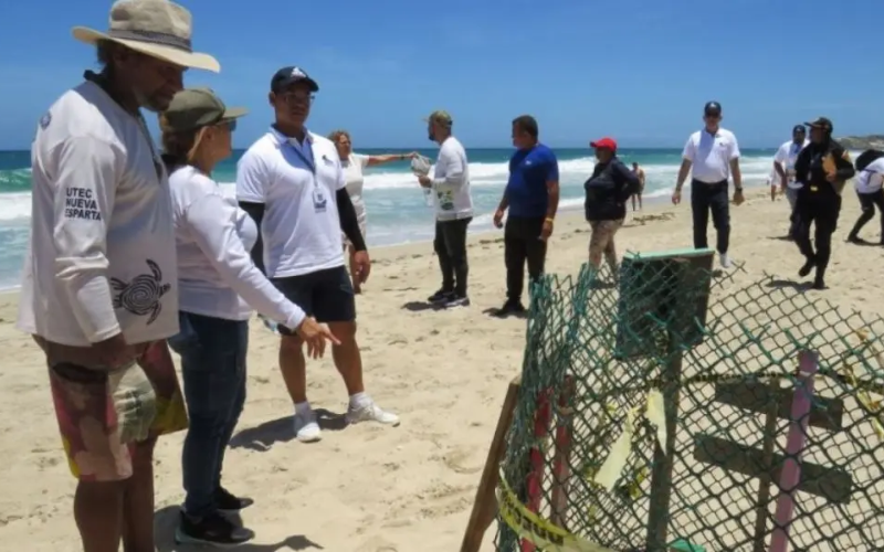 Autoridades supervisaron viveros de tortugas marinas Autoridades supervisaron viveros de tortugas marinas