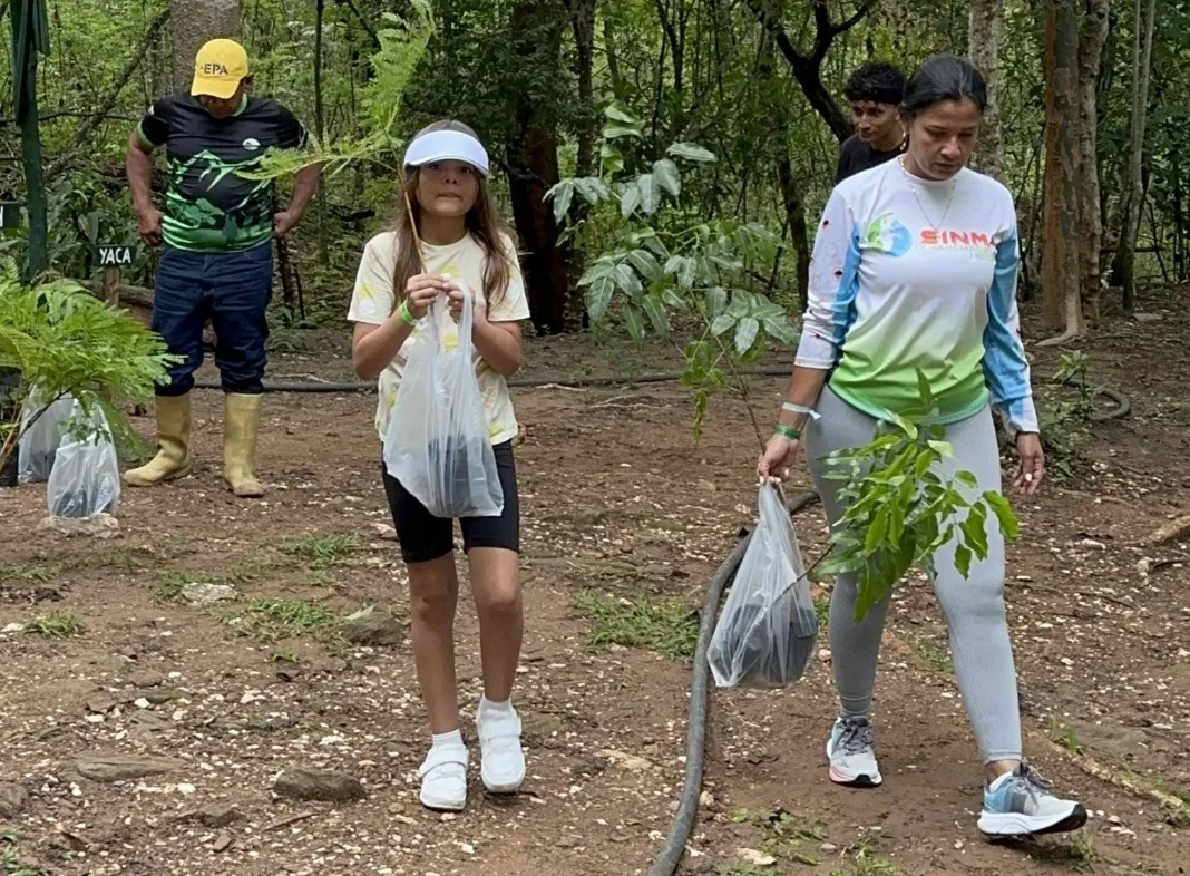 Más de 2 mil 500 árboles sembrados en mega jornada de reforestación en cerro El Casupo