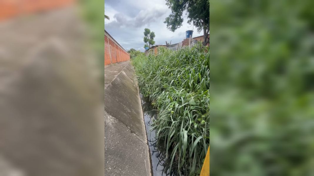 Solicitan limpieza inmediata del caño La Montañita en Paso Real