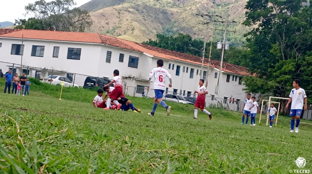 Jornada perfecta para Acefuc en 7ma semana del Apertura 2026