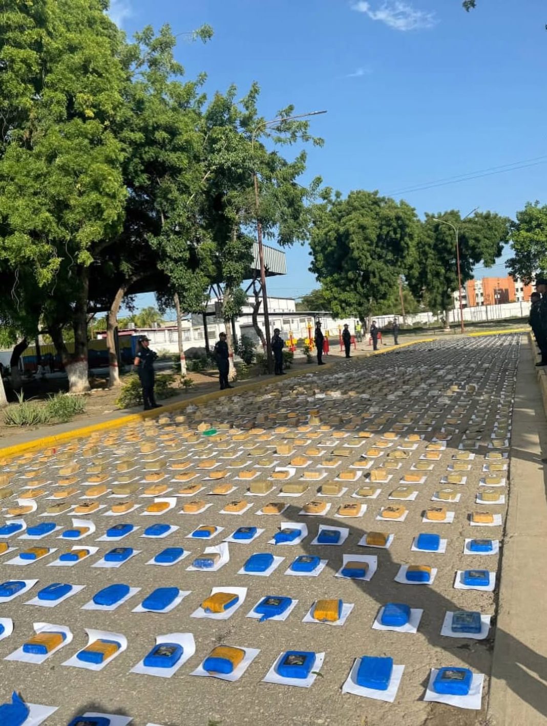 Incautan más de mil kilos de marihuana ocultos dentro de dos camionetas en Lara