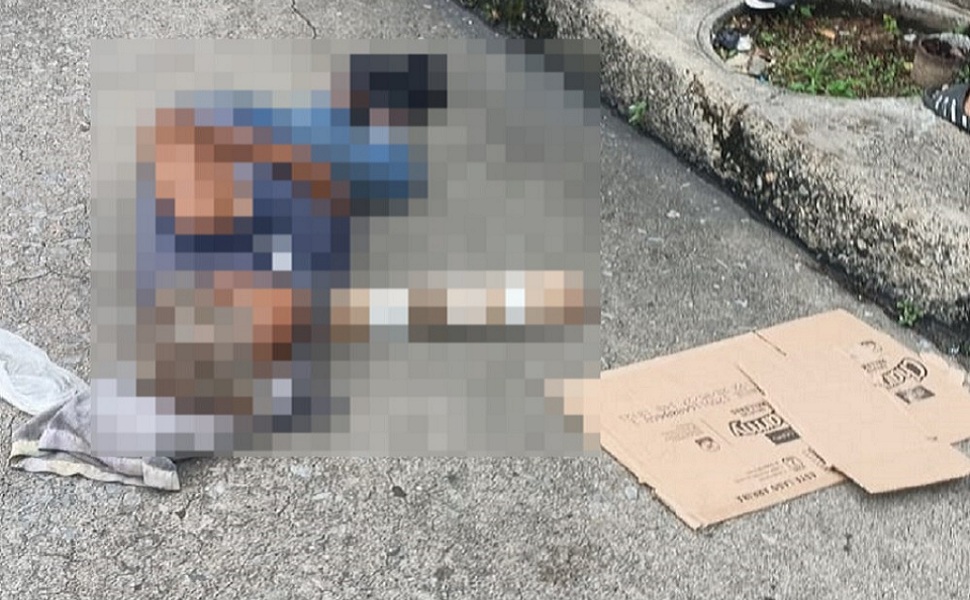 Adulta mayor en situación de calle falleció luego de ser arrollada en Valencia