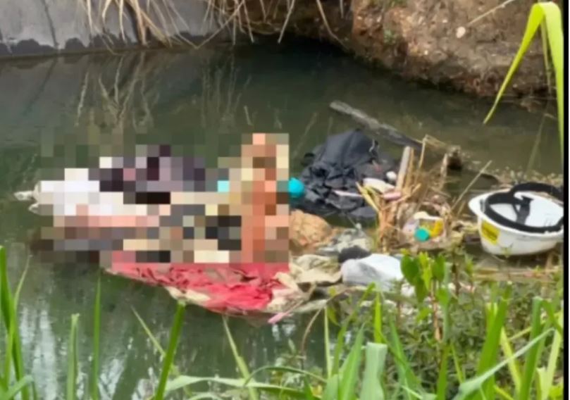 Hallan el cuerpo sin vida de una mujer en un estanque de la Autopista Sur en Valencia