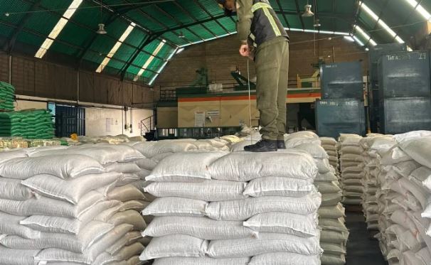 Lara exportó 43,2 toneladas de frijol mungo con destino a Francia