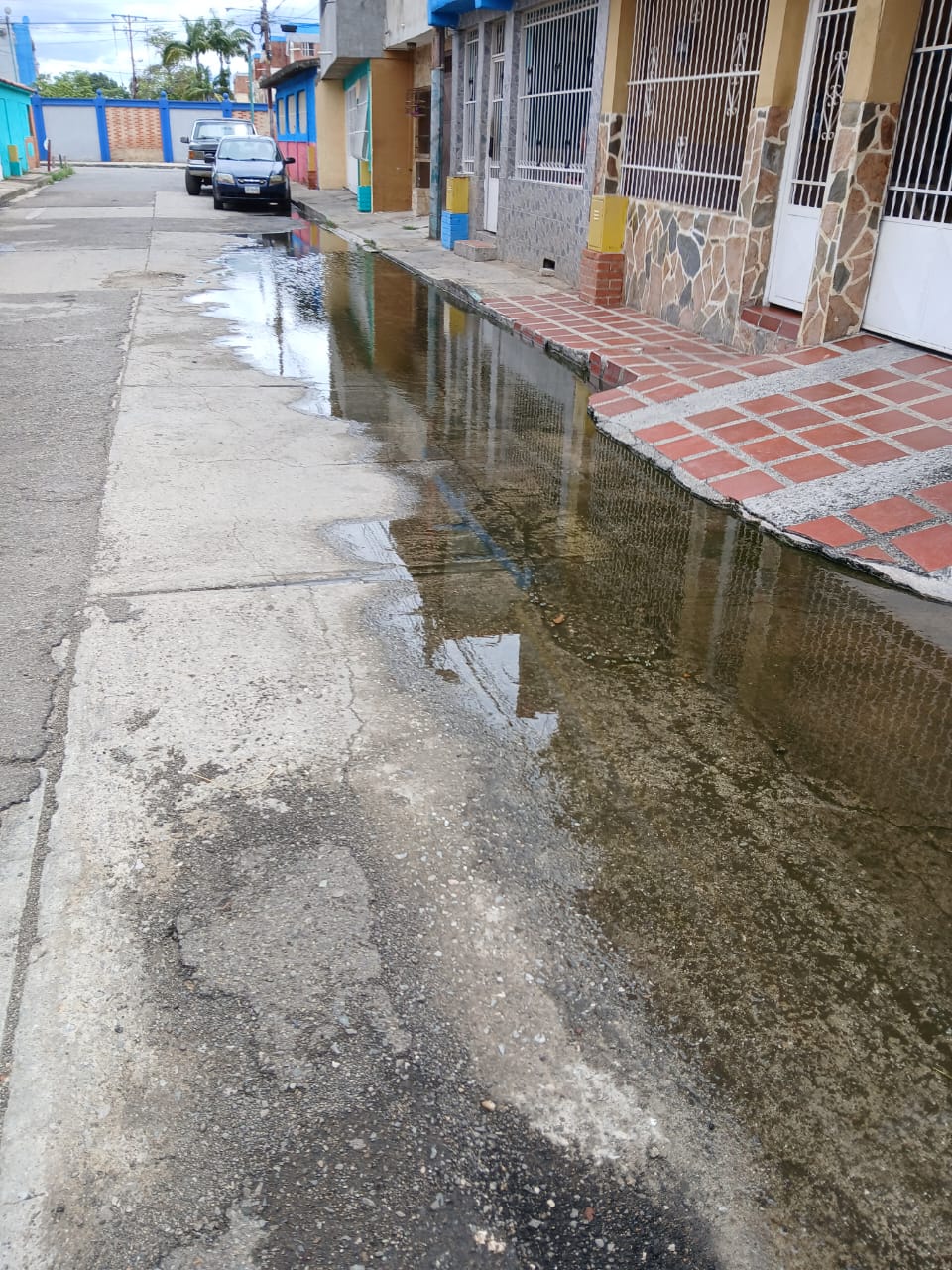 En la comunidad Antonieta de Celli tienen siete meses con las cloacas desbordadas