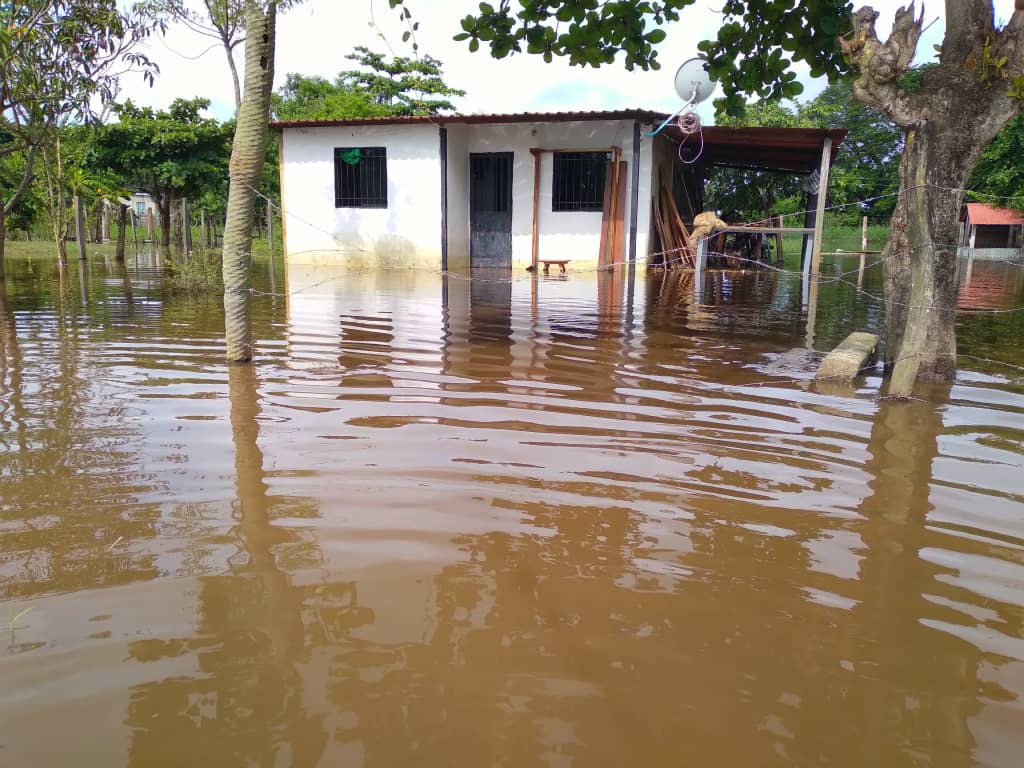 Familias sufren consecuencias tras desbordamiento del caño «Potrerito»