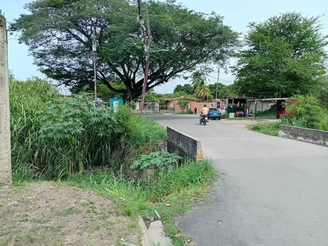 Habitantes de Bucaral II exigen limpieza urgente de caño tras cuatro años de abandono