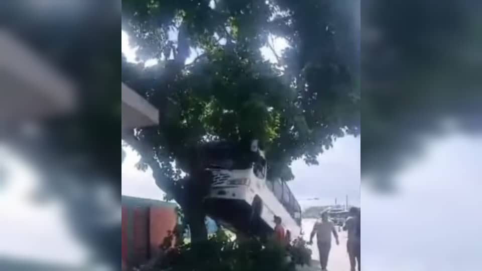 Chófer de transporte público chocó contra un árbol luego de donar sangre en Barquisimeto