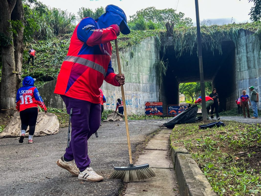 Inician plan de poda preventiva y alumbrado en Carialinda