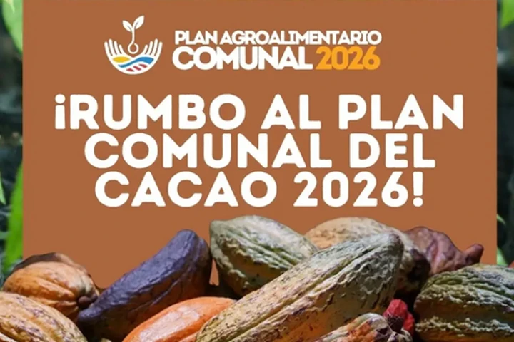 Comunas activan Plan Cacaotero para consolidar la agroindustrialización