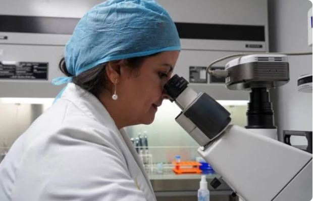 Científicos venezolanos desarrollan terapia de regeneración de piel basada en células madre