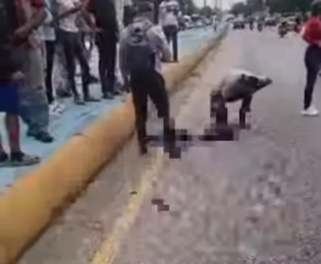 Choque de motos en la Autopista Sur de Tocuyito cobra la vida de una madre y su hijo