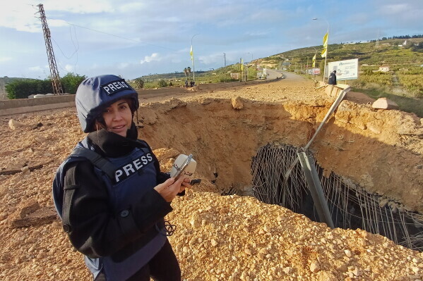 Policías de Ecuador y Chile desarticulan banda criminal