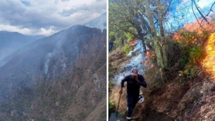Déficit hídrico y fallas viales amenazan la agricultura en Trujillo