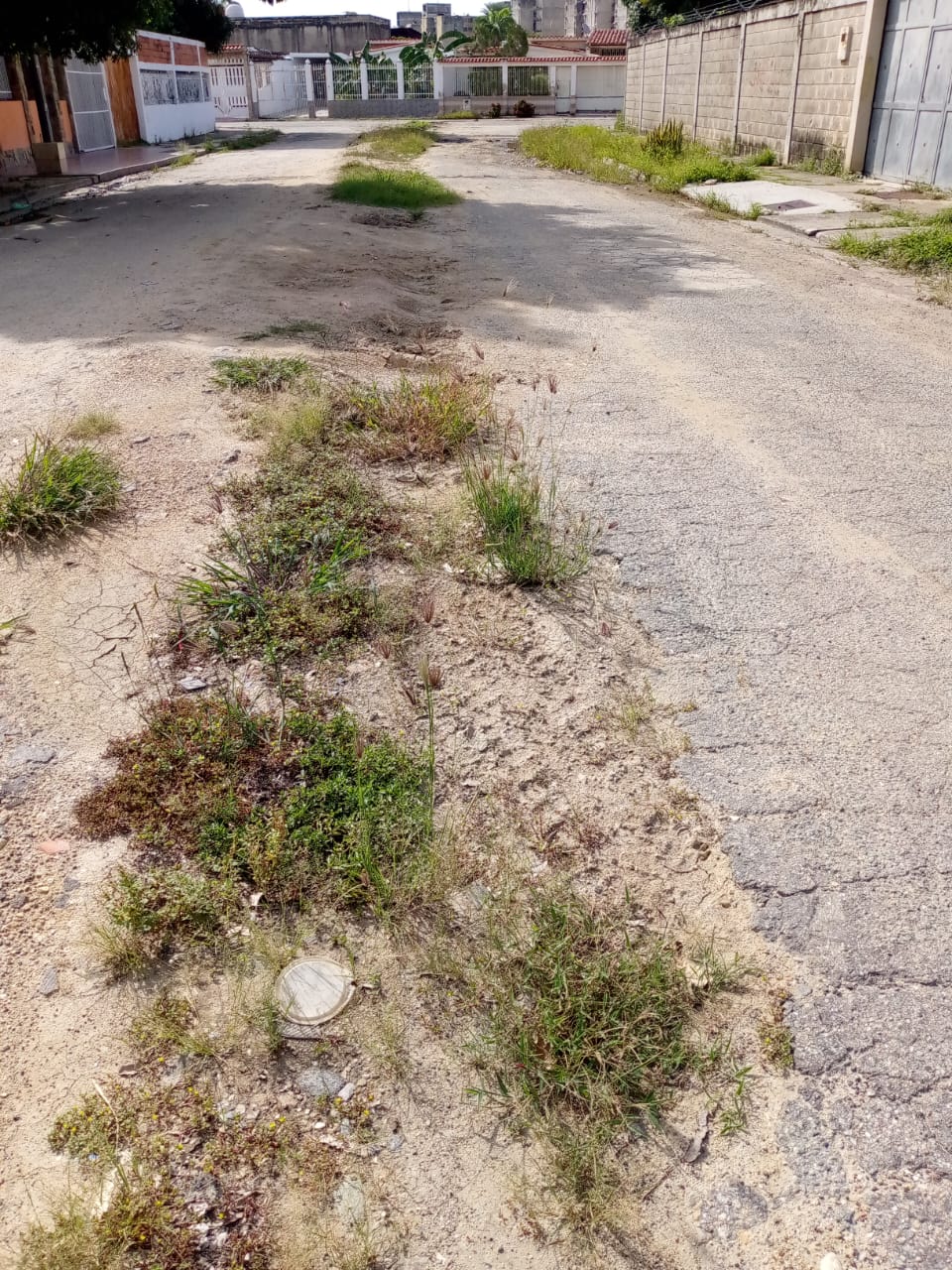 Piden asfaltado para calle 77-C de la Urb. Parque Valencia