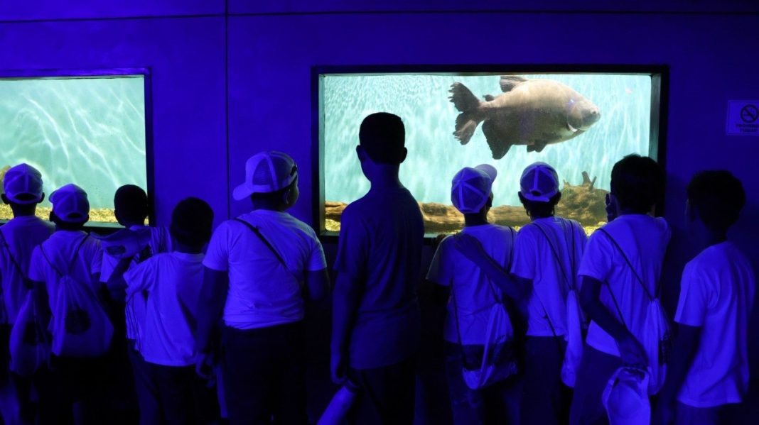 Zoo Aquarium de Valencia