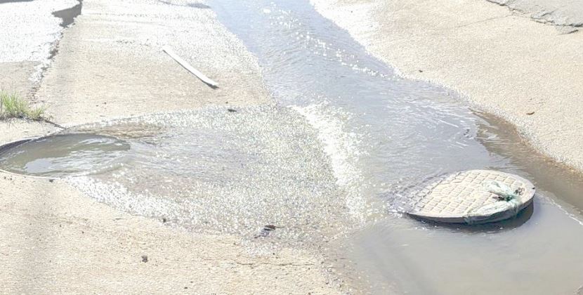 Valencia: vecinos de La Florida denuncian brote de aguas negras