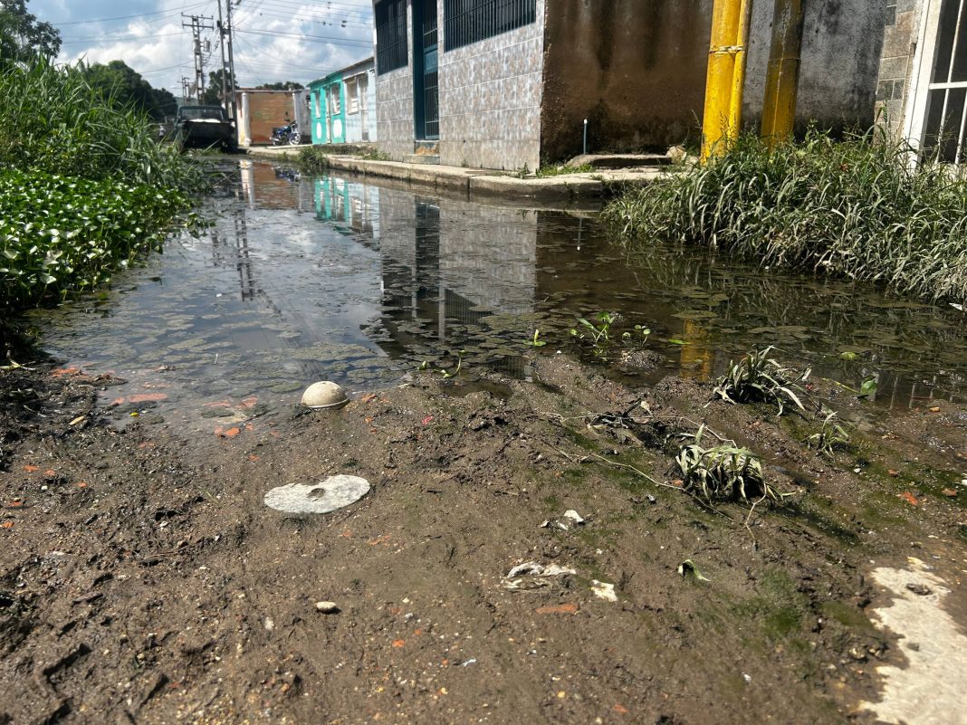 Carlos Arvelo: inundaciones y contaminación extrema amenazan al sector Caña Dulce