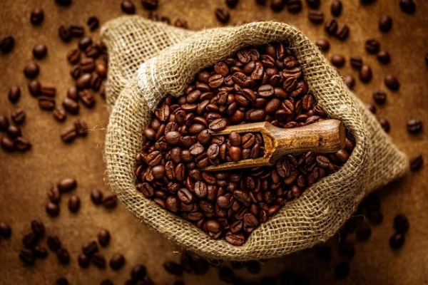 Venezuela podría entrar en el Top 10 de los mayores productores de café del mundo en 2027