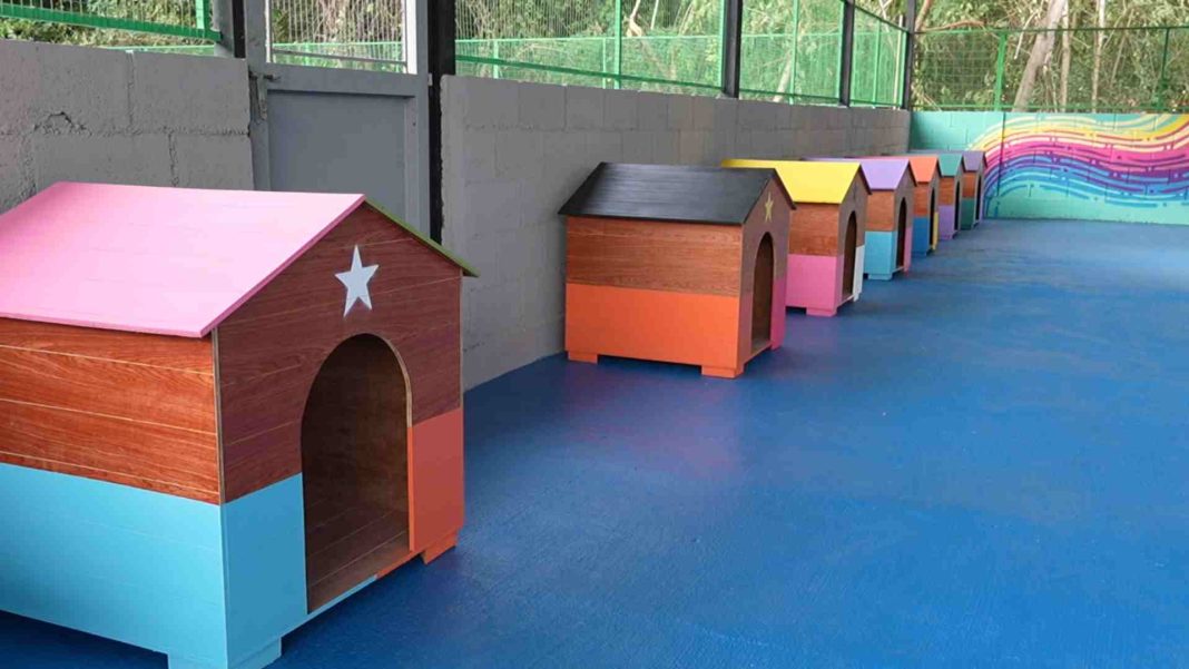 Inauguraron Centro de Bienestar Animal en San Joaquín