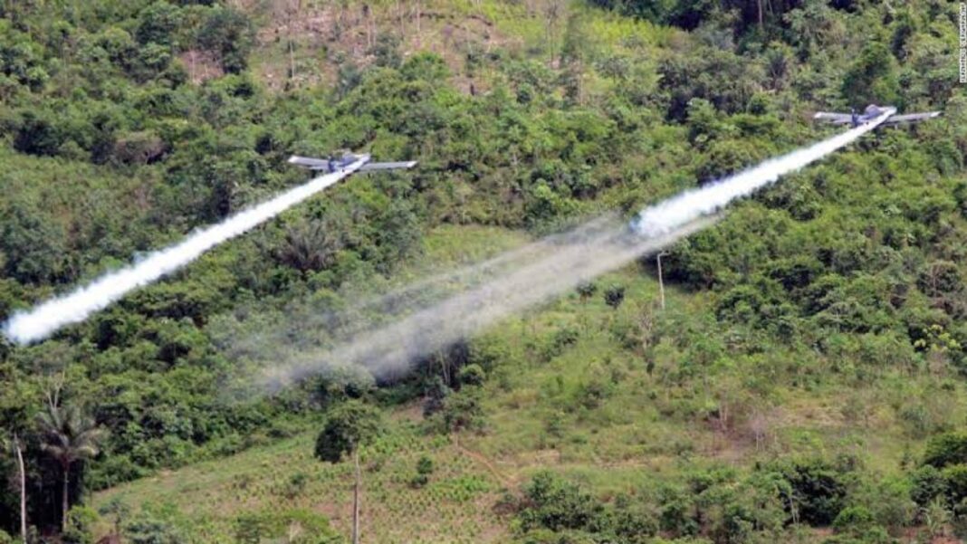 Autoridades colombianas activan plan piloto de fumigación aérea para combatir los cultivos ilícitos