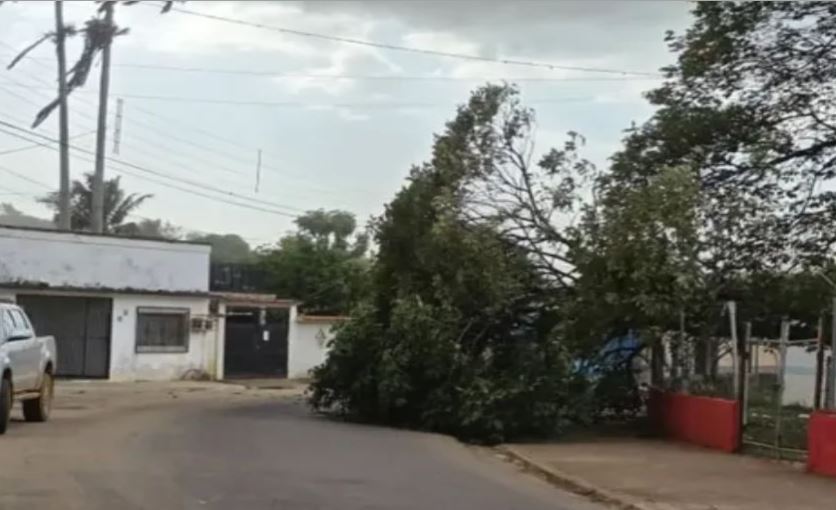 Vientos huracanados causaron destrozos en el sur de Bolívar