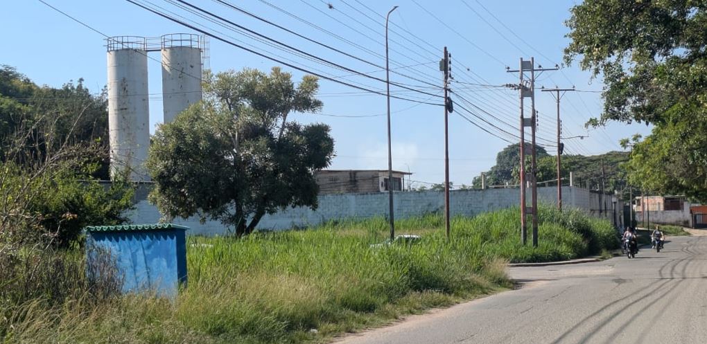 Vecinos del sector Paraíso en Campo Solo exigen desmalezamiento de áreas comunes