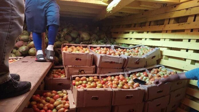 Más de 7 mil toneladas de alimentos han sido exportados a las islas ABC