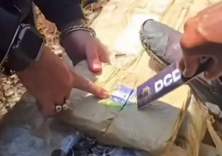 PNB incautó 359 panelas de presunta marihuana en Falcón