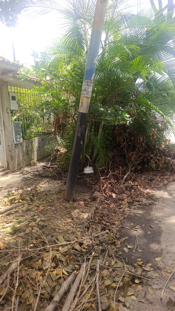Falla y deterioro de poste mantienen sin servicio eléctrico a vecinos en Los Caobos