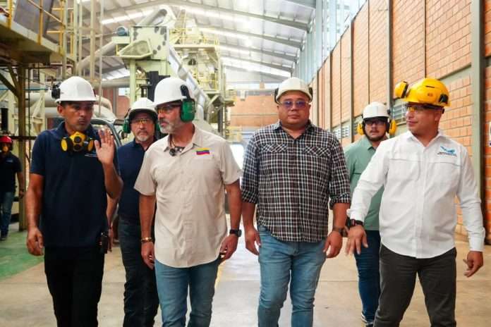 Inicia plan de siembra de algodón 2026-2027 en el Orinoco