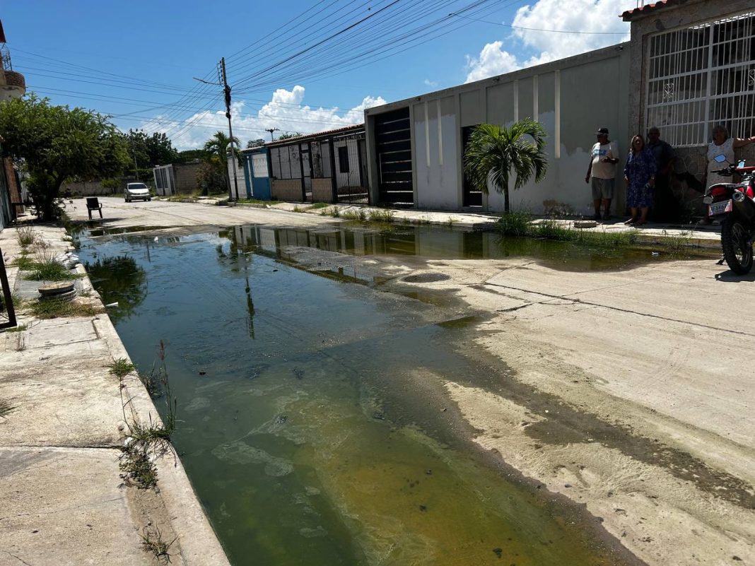 Los Guayos: aguas negras inundan calles del sector Buenaventura desde hace dos meses