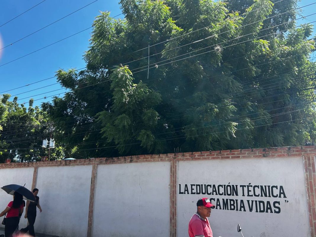 Árbol de gran magnitud amenaza el tendido eléctrico y la seguridad en Bucaral I