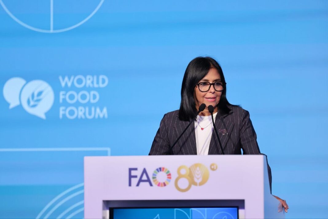 Delcy Rodríguez presentará a la AN nueva ley para la economía local