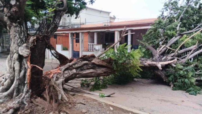 Temporal en Zulia causa destrozos y masivo apagón en Maracaibo y San Francisco