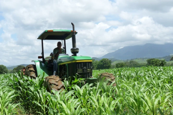 Delcy Rodríguez honra labor de agroproductores en el Día Mundial de la Alimentación
