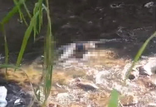 Hallan cadáver de un hombre en el río Cabriales, Valencia
