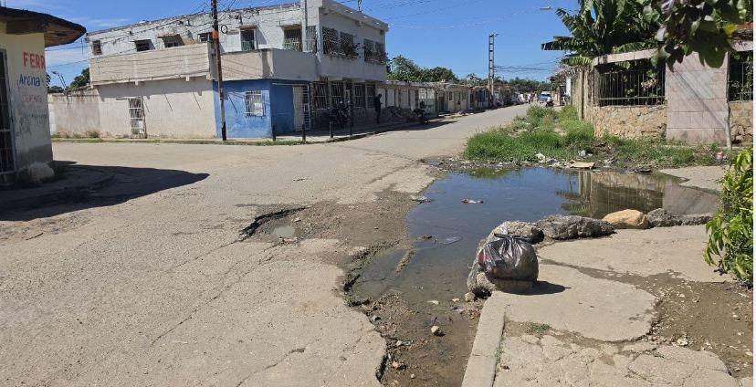 Problemas de vialidad y botes de agua afectan a av. Libertador de Bicentenario
