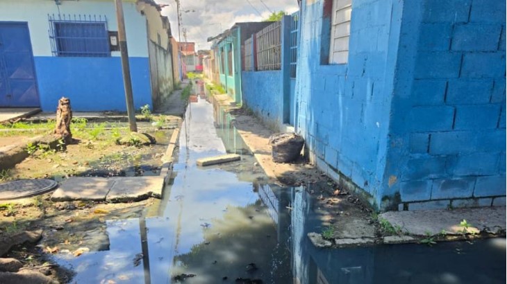 Sector 2 de comunidad Las Agüitas en Los Guayos pide soluciones al problema de aguas servidas