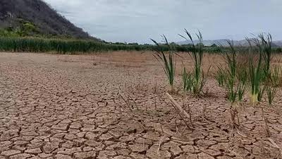 El Niño golpea con sequías a decenas de comunidades rurales del occidente de Bolivia